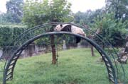 Panda's Home at Chengdu Zoo