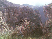 snow on the Lushan Mountain