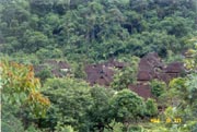 A Dai Vallige in Green Trees