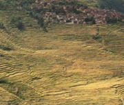 Hani Terraces