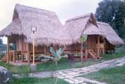 The Traditional Thatched Cottage