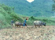 Raking field